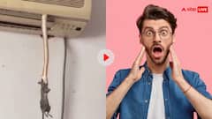 चूहे का शिकार कर एसी के अंदर घुसा सांप, वीडियो देखकर डर से कांपने लगेंगे आप