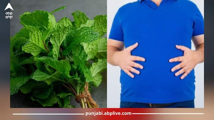 Health News: ਗਰਮੀਆਂ ਦੇ ਮੌਸਮ ਵਿੱਚ ਪੁਦੀਨਾ ਸਿਹਤ ਲਈ ਲਾਹੇਵੰਦ ਸਾਬਿਤ ਹੋ ਸਕਦਾ ਹੈ। ਜੇਕਰ ਇਸ ਨੂੰ ਵੱਖ-ਵੱਖ ਤਰੀਕਿਆਂ ਨਾਲ ਡਾਈਟ ‘ਚ ਲਿਆ ਜਾਵੇ ਤਾਂ ਕਈ ਸਮੱਸਿਆਵਾਂ ਤੋਂ ਆਸਾਨੀ ਨਾਲ ਬਚਿਆ ਜਾ ਸਕਦਾ ਹੈ।