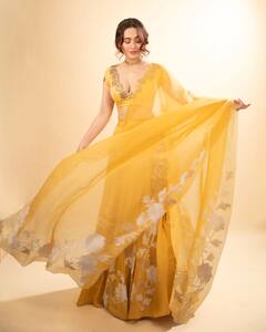 Summer Fashion: अटेंड करना है कोई ट्रेडिशनल फंक्शन, तो इस तरह के ऑर्गेंजा आउटफिट को चुनें