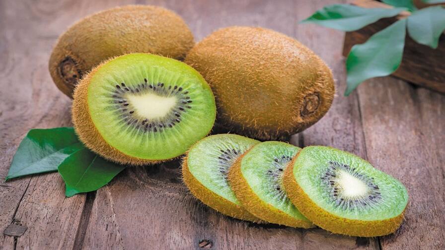Agriculture News: Know how to do kiwi farming and how much earn you per year Kiwi Farming: કેવી રીતે થાય છે કિવીની ખેતી, એક સીઝનમાં કેટલા રૂપિયા કમાઈ શકો છો તમે?
