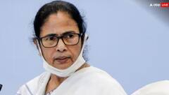 ममता बनर्जी ने बता दिया कितनी सीटें जीतेगी बीजेपी