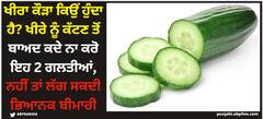 Cucumber: ਖੀਰਾ ਕੌੜਾ ਕਿਉਂ ਹੁੰਦਾ ਹੈ? ਖੀਰੇ ਨੂੰ ਕੱਟਣ ਤੋਂ ਬਾਅਦ ਕਦੇ ਨਾ ਕਰੋ ਇਹ 2 ਗਲਤੀਆਂ, ਨਹੀਂ ਤਾਂ ਲੱਗ ਸਕਦੀ ਭਿਆਨਕ ਬੀਮਾਰੀ