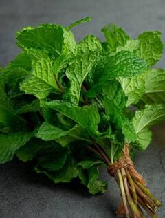 Mint Benefits: ਗਰਮੀਆਂ ‘ਚ ਪੁਦੀਨੇ ਨੂੰ ਇੰਝ ਕਰੋ ਡਾਈਟ ‘ਚ ਸ਼ਾਮਿਲ, ਸਰੀਰ ਨੂੰ ਠੰਡਕ ਦੇ ਨਾਲ ਮਿਲਣਗੇ ਕਈ ਫਾਇਦੇ