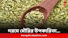 Fennel Seeds: স্বাস্থ্যের 'ধন', এই গরমে মৌরি খেলে কী কী উপকার পাওয়া যাবে ?
