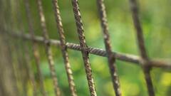 Andhra Pradesh Post-Poll Unrest: Prohibitory Orders Enforced In Palnadu District