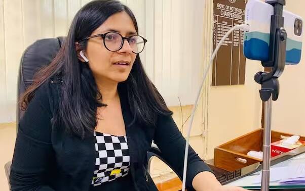 સ્વાતિ માલીવાલ ઉત્તર પ્રદેશ (યુપી)ના ગાઝિયાબાદના રહેવાસી છે. તેમણે JSS એકેડેમી ઑફ ટેકનિકલ એજ્યુકેશન, નોઈડામાંથી એન્જિનિયરિંગ (ઇન્ફર્મેશન ટેક્નોલોજીમાં સ્નાતકની ડિગ્રી)નો અભ્યાસ કર્યો હતો.