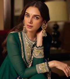 राजघराने से ताल्लुक रखती हैं 'हीरामंडी' की 'बिब्बोजान'...पति ने दिया धोखा, अब उम्र में बड़े एक्टर से करेंगी दूसरी शादी