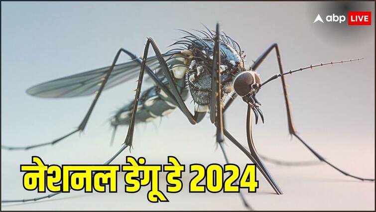 national dengue day is observed annually on May 16th know about dengue symptoms National Dengue Day 2024: सिर्फ भारत ही नहीं, दुनिया के कई देशों में हाहाकार मचा चुका है डेंगू, ये आंकड़े बताएंगे कितनी खतरनाक है ये बीमारी