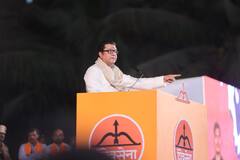 लोकसभा चुनाव के बीच शरद पवार का राज ठाकरे पर तंज, 'मैंने सुना है कि उनका गढ़...'