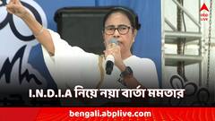 'সর্বভারতীয় স্তরে আমরা থাকব', I.N.D.I.A জোট নিয়ে অবস্থান ব্যাখা মমতার