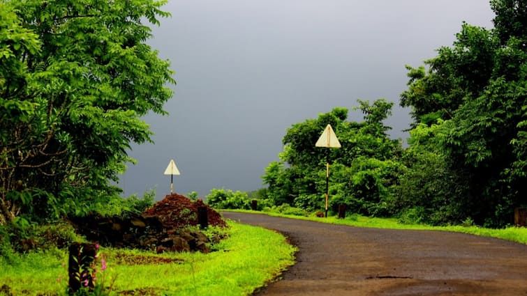 Tamil Nadu Kerala Rain Weather Update, IMD Forecasts Southwest Monsoon Onset By May 31 Summer Showers Summer Showers Offer Respite To TN & Kerala, IMD Forecasts Southwest Monsoon Onset By May 31