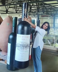 Rashmi Gautam Latest Photos : వైన్​ కిక్​లో రష్మీ గౌతమ్.. డ్రింక్ చేస్తోన్న ఫోటోలు షేర్ చేసిన యాంకర్