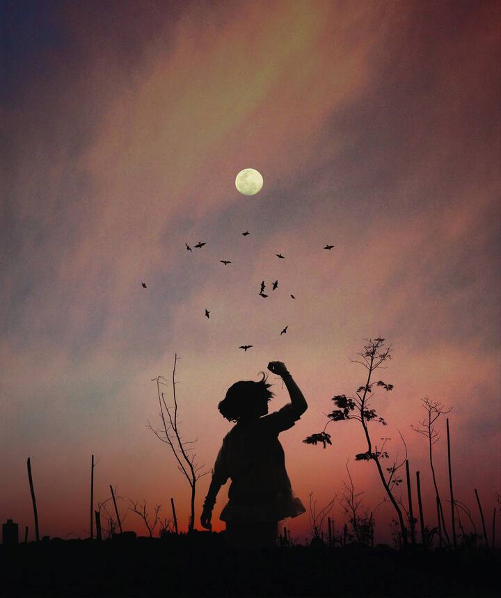 इस तरह के मुहावरे भारतीय संस्कृति का हिस्सा हैं. जो हर अलग-अलग सिचुएशन के लिए बने हुए हैं.