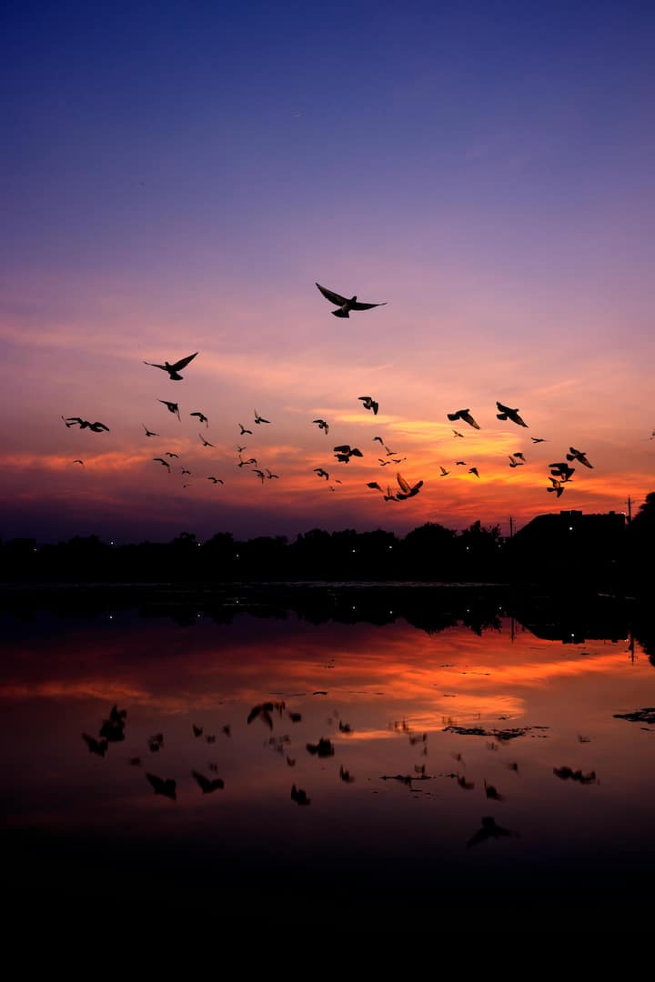 दरअसल इस मुहावरे का इस्तेमाल बुद्धिमान और चतुर लोगों के लिए होता है, जो अपने जीवन में बुद्धिमत्ता से ही कार्य करते हैं.