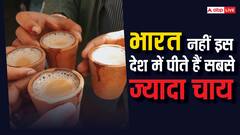 हिंदुस्तानियों को दिन में बार-बार चाहिए चाय, मगर जानते हैं चाय के इस्तेमाल में हम कितने देशों से पीछे हैं?