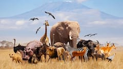 वो जानवर जो अपने बच्चों ही नहीं बल्कि पार्टनर को भी खाकर कर जाते हैं हजम