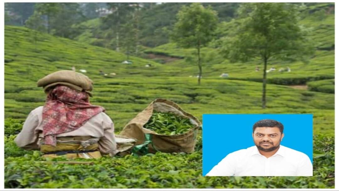 மாஞ்சோலை தொழிலாளர்கள் விரைவில் வெளியேற்றம்? - எஸ்டிபிஐ அரசுக்கு விடுத்த கோரிக்கைகள்