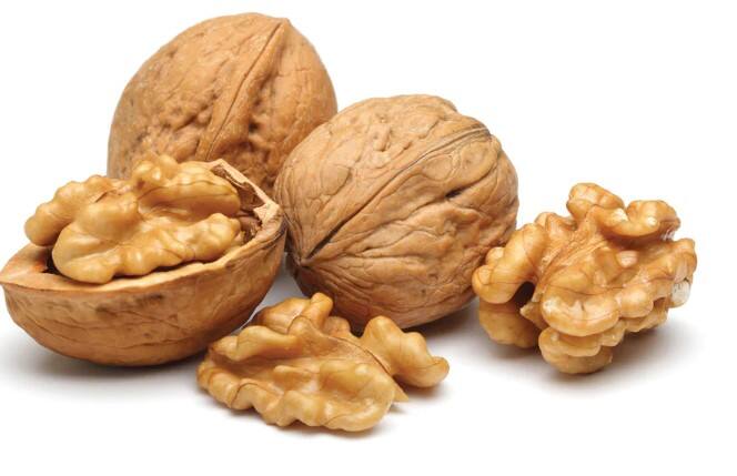 Eating walnuts will have these great benefits in the body Benefits of eating walnuts: અખરોટ ખાવાથી શરીરમાં થશે આ ગજબના ફાયદા, જાણો