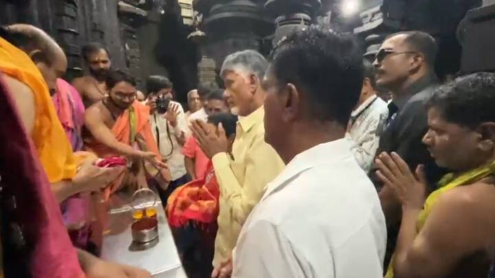 आंध्र विधानसभा आणि 25 लोकसभा जागांवर एकाचवेळी मतदान झालं आहे.