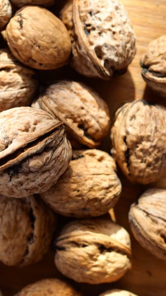 রোজ খালি পেটে আখরোট খেলে 'ম্যাজিক' হতে পারে শরীরে