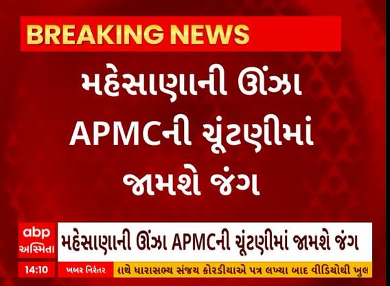 Mehsana News । મહેસાણાની ઊંઝા APMCની ચૂંટણીમાં ભાજપના બે જૂથ વચ્ચે ઘમાસાણ