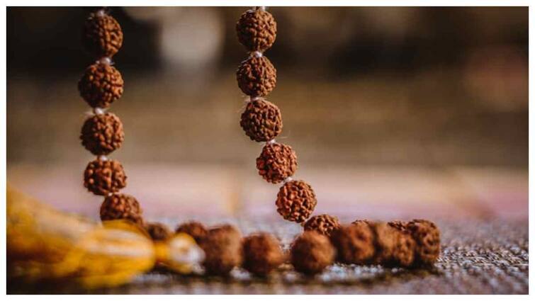 According to zodiac sign rudraksh astrology Rudraksha Zodiac Sign: ఏ రాశివారు ఎలాంటి రుద్రాక్ష ధరిస్తే మంచిది? ఏ రోజు ధరించాలి?