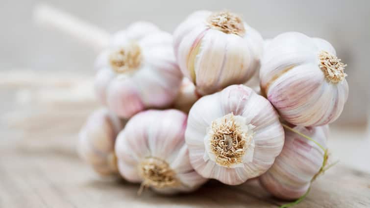health-tips-know-the-big-benefits-of-eating-garlic-details-here Health Tips: લસણ ખાવાના ફાયદા જાણશો તો આજે ખાવાનું શરુ કરી દેશો, હેલ્થ માટે વરદાન છે