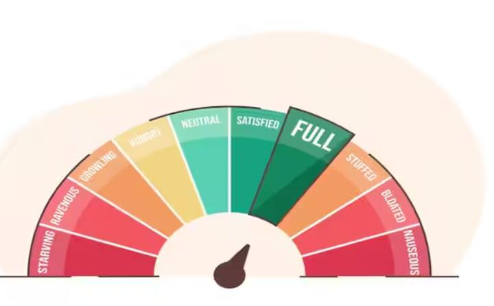 ਘਰ ਬਣਾਉਣ ਤੋਂ ਲੈਕੇ ਪੜ੍ਹਾਈ ਤੱਕ ਅਕਸਰ ਲੋਕ ਵਿਆਹ ਆਦਿ ਦੇ ਖਰਚਿਆਂ ਲਈ ਵੱਖ-ਵੱਖ ਤਰ੍ਹਾਂ ਦੇ ਕਰਜ਼ੇ ਲੈਂਦੇ ਹਨ। ਲੋਨ ਲਈ ਅਰਜ਼ੀ ਦੇਣ ਵੇਲੇ, ਬੈਂਕ ਅਕਸਰ ਪਹਿਲਾਂ ਗਾਹਕ ਦੇ CIBIL ਸਕੋਰ ਦੀ ਜਾਂਚ ਕਰਦੇ ਹਨ।