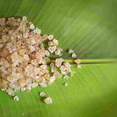 Summer Season : ਗਰਮੀ 'ਚ ਨਹੀਂ ਲੱਗਦੀ ਭੁੱਖ ਪਿਆਸ ਤਾਂ ਖਾਓ ਆਹ ਚੀਜ਼, ਮਿਲੇਗੀ ਠੰਢਕ