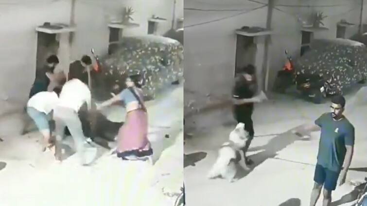 गली में कुत्ता घुमा रहे शख्स की लाठी-डंडों से पिटाई, पति को बचाने आई महिला को भी बेरहमी से पीटा