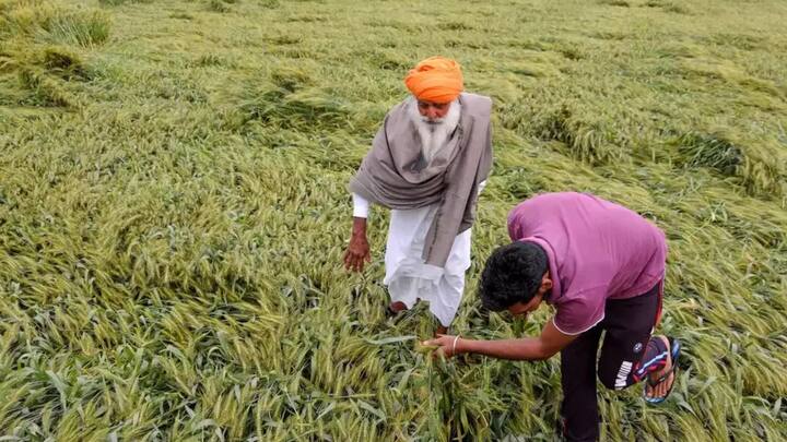 मानसून की बारिश देश के जलाशयों और जलभृतों को रिचार्ज करने के लिए भी महत्वपूर्ण है, जहां से पानी का उपयोग साल के अंत में फसलों की सिंचाई के लिए किया जा सकता है.
