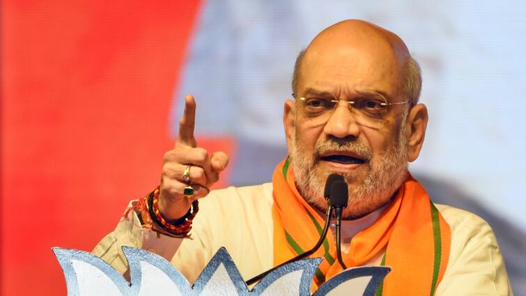 Amit Shah warns Cow slaughter appeal to make narendra modi Prime Minister for third time lok sabha election 2024 rally Madhubani 'मोदी को तीसरी बार प्रधानमंत्री बनाओ गोहत्या करने वालों को उल्टा लटकाकर सीधा कर देंगे,' अमित शाह की चेतावनी