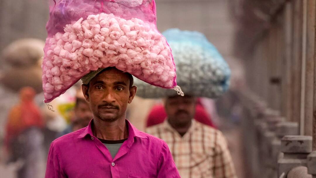 राजस्थान में लहसुन की बंपर पैदावार और बढ़ी कीमतों से खिले किसानों के चेहरे, देश-विदेश में सप्लाई शुरू Hadoti Farmers happy with Bumper Production and increased Garlic prices ANN राजस्थान में लहसुन की बंपर पैदावार और बढ़ी कीमतों से खिले किसानों के चेहरे, देश-विदेश में सप्लाई शुरू