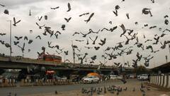 Weather Alert: পঞ্চম দফা ভোটের দিন কলকাতা-সহ দক্ষিণবঙ্গের সব জেলায় বৃষ্টি, বার্তা হাওয়া অফিসের