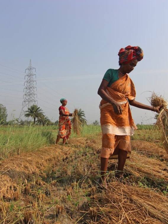 किसान क्रेडिट कार्ड से कैसे मिलता है लोन?