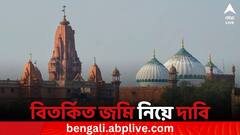 সম্পত্তির কাগজ দেখাতে পারেনি ওয়াকফ বোর্ড ও মসজিদ কমিটি, কৃষ্ণ জন্মভূমি মামলায় দাবি হিন্দু পক্ষের