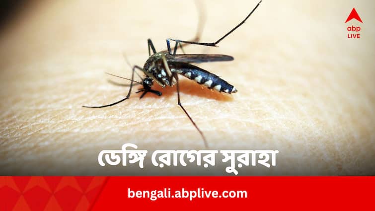 WHO Prequalifies Japanese Dengue Vaccine Tak003 For 6 To 16 Years Old In Bengali