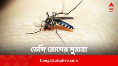 ডেঙ্গি টিকাকে প্রাথমিক ছাড়পত্র দিল WHO, কারা নিতে পারবেন ?