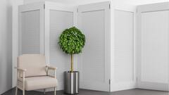 Room Decoration Tips: ঝক্কি নেই একেবারে, উপরন্তু আলো-হাওয়া খেলবে, একটি ঘরকে দু’টি করুন এই উপায়ে