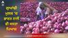 Onion Price: ਭਾਰਤ ਨਾਲੋਂ ਸਸਤਾ ਪਿਆਜ਼, ਪੈਟਰੋਲ-ਡੀਜ਼ਲ ਦੀਆਂ ਕੀਮਤਾਂ 'ਚ ਵੀ ਭਾਰੀ ਕਟੌਤੀ, ਕੀ ਪਟੜੀ 'ਤੇ ਵਾਪਸ ਆਈ ਪਾਕਿਸਤਾਨ ਦੀ ਅਰਥਵਿਵਸਥਾ?