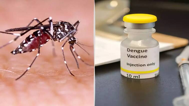 WHO prequalifies second dengue vaccine Know all about Takeda TAK 003 Dengue Vaccine: டெங்குவுக்கு எதிரான போர்.. இரண்டாவது தடுப்பூசிக்கு உலக சுகாதார அமைப்பு முன்ஒப்புதல்!