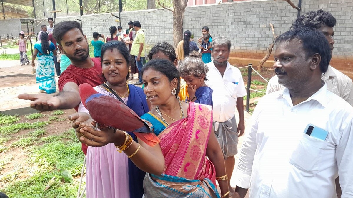 Tanjore Rajali Park: கட்டணம் வொர்த்துதாங்க... தஞ்சை ராஜாளி பூங்காவில் குவியும் சுற்றுலாப்பயணிகள்