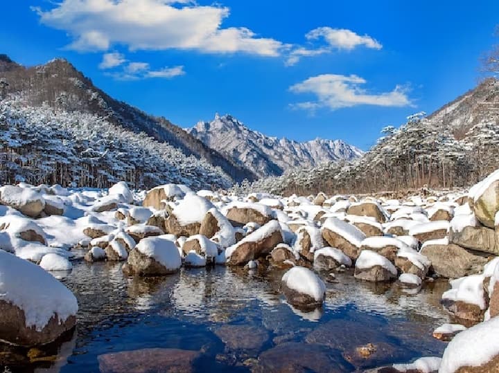 पैकेज में आपको जनरल इंश्योरेंस की सुविधा भी मिल रही है. इसके साथ ही पूरे पैकेज में सैलानियों को अच्छे होटल रूम्स में भी ठहरने की सुविधा मिलेगी.