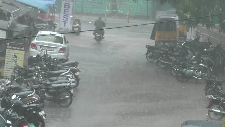 Dharmapuri district heavy rains across roads are flooded - TNN தருமபுரி மாவட்டம் முழுவதும் கனமழை; சாலையில் பெருக்கெடுத்து ஓடும் வெள்ளம்