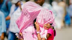 बढ़ जाएगा सूरज का ताप! दिल्ली-पंजाब यूपी हरियाणा का होगा बुरा हाल, जानें मौसम का नया अपडेट