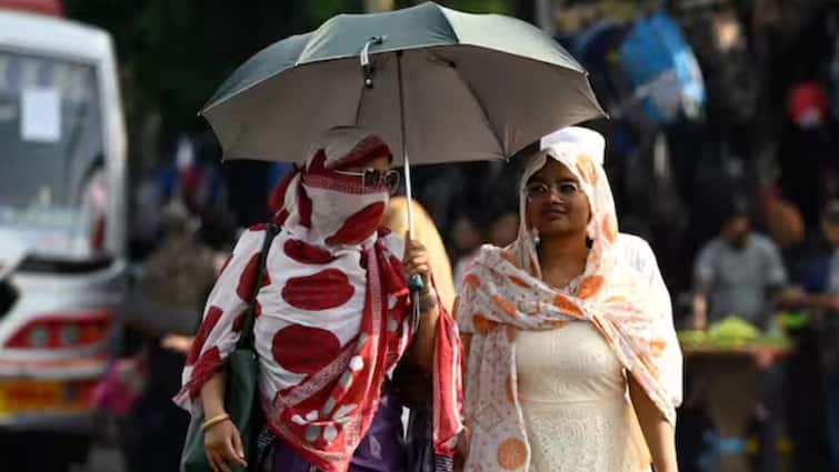 Delhi: IMD Forecasts Heatwave On Saturday As Capital Records Hottest Day Of Season At 42.5­°C
