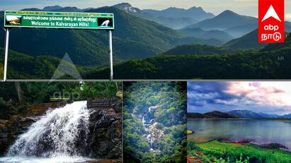 travel With abp kalvarayan hills tourist places in kallakurichi district Travel With ABP: குறைந்த பட்ஜெட்டில் கொடைக்கானல் க்ளைமேட்டா?அப்போ இங்க வாங்க..