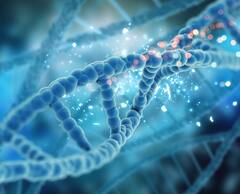 Hormones: હોર્મોનલ ઇમ્બેલેન્સની સમસ્યામાં આ ફૂડને ડાયટમાં કરો સામેલ, હોર્મોન્સ બેલેન્સમાં મળશે મદદ