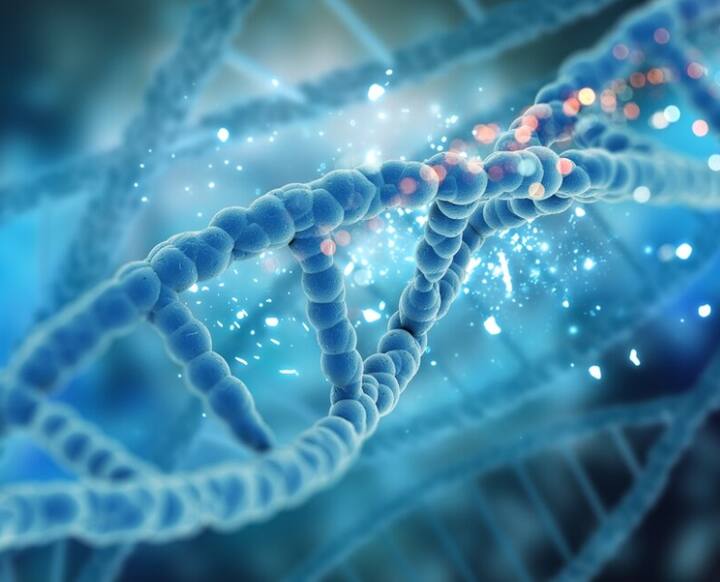 હોર્મોન્સ શરીરનું કેમિકલ મેસેન્જર છે. તેમજ તે શારિરીક, માનસિક, ભાવનાત્મક સ્વાસ્થય માટે જવાબદાર છે. સંપૂર્ણ શરીરની ગતિવિધિ ભૂખ, બ્લડપ્રેશર, મેટાબોલિજ્મ, સ્લીપ સાઇકલની સાથે સાથે શરીરના સામાન્ય વિકાસ, મૂડ અને ઉર્જાને ના લેવલને નિયંત્રિત કરવા માટે આવશ્યક છે. હોર્મોન્સ આપના શરીરને પણ પ્રભાવિત કરે છે. ટૂંકમાં તે આપના શરીરની બધા જ સિસ્ટમની બુનિયાદ છે.