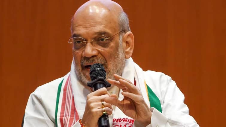 What if BJP does not cross 272 on 4th June Here What Amit Shah Says Amit Shah: మెజార్టీ రాకపోతే ప్లాన్‌ బీ రెడీ? అమిత్‌ షా ఆసక్తికర వ్యాఖ్యలు